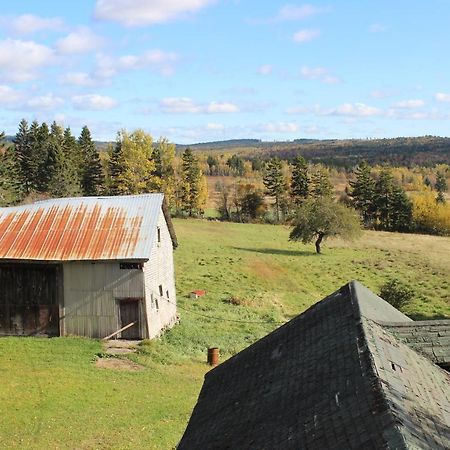 Maplehurst Manor Bed And Breakfast Dorchester エクステリア 写真